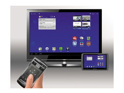 Archos 101 G9 硬盤(pán)版 250GB 平板電腦產(chǎn)品圖賞與網(wǎng)絡(luò)體驗(yàn)